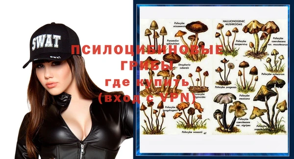 ГАЛЛЮЦИНОГЕННЫЕ ГРИБЫ Покров