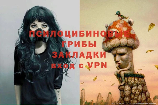 таблы Верхний Тагил