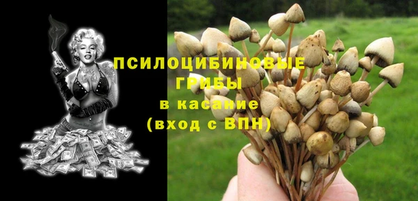 таблы Верхний Тагил